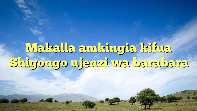 Makalla amkingia kifua Shigongo ujenzi wa barabara