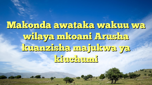 Makonda awataka wakuu wa wilaya mkoani Arusha kuanzisha majukwa ya kiuchumi