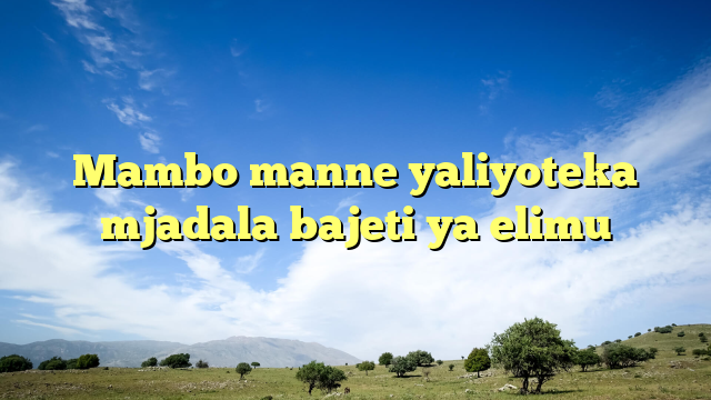 Mambo manne yaliyoteka mjadala bajeti ya elimu
