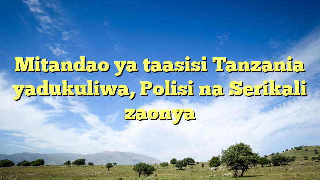Mitandao ya taasisi Tanzania yadukuliwa, Polisi na Serikali zaonya
