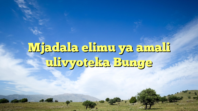 Mjadala elimu ya amali ulivyoteka Bunge