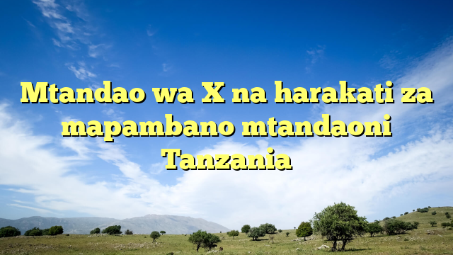 Mtandao wa X na harakati za mapambano mtandaoni Tanzania