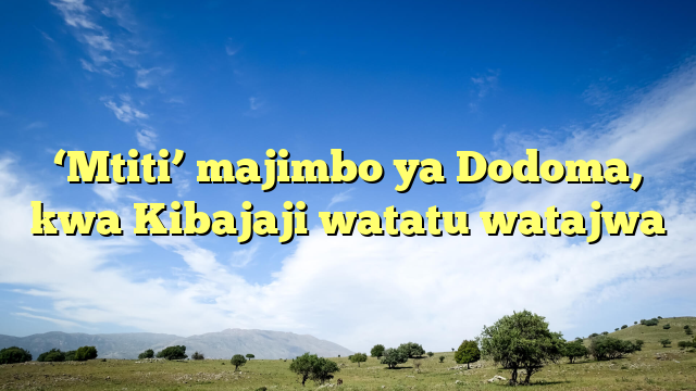 ‘Mtiti’ majimbo ya Dodoma, kwa Kibajaji watatu watajwa