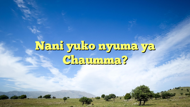 Nani yuko nyuma ya Chaumma?