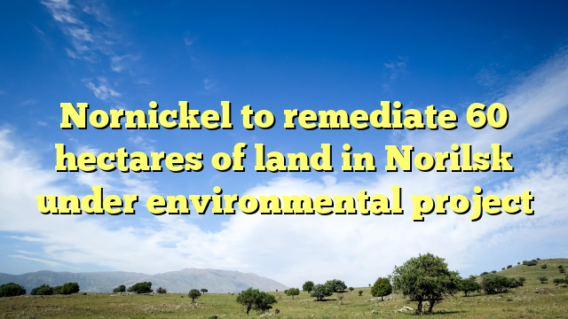 Nornickel to remediate 60 hectares of land in Norilsk under environmental project