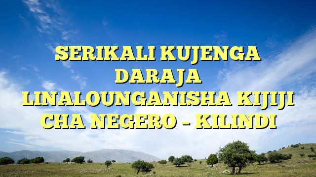 SERIKALI KUJENGA DARAJA LINALOUNGANISHA KIJIJI CHA NEGERO – KILINDI