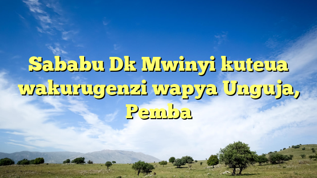 Sababu Dk Mwinyi kuteua wakurugenzi wapya Unguja, Pemba