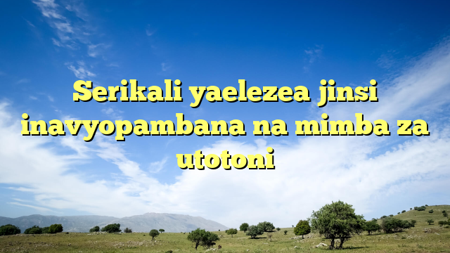 Serikali yaelezea jinsi inavyopambana na mimba za utotoni