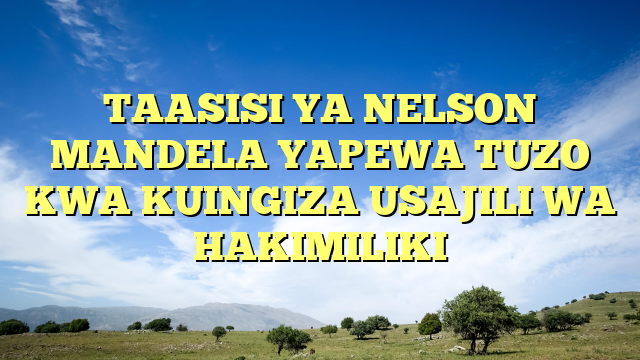 TAASISI YA NELSON MANDELA YAPEWA TUZO KWA KUINGIZA USAJILI WA HAKIMILIKI