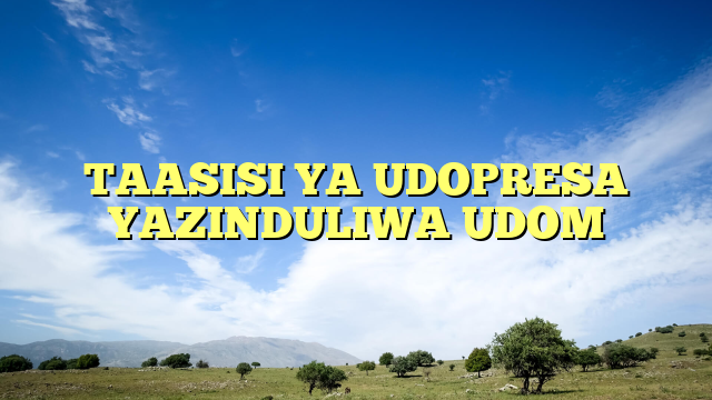 TAASISI YA UDOPRESA YAZINDULIWA UDOM