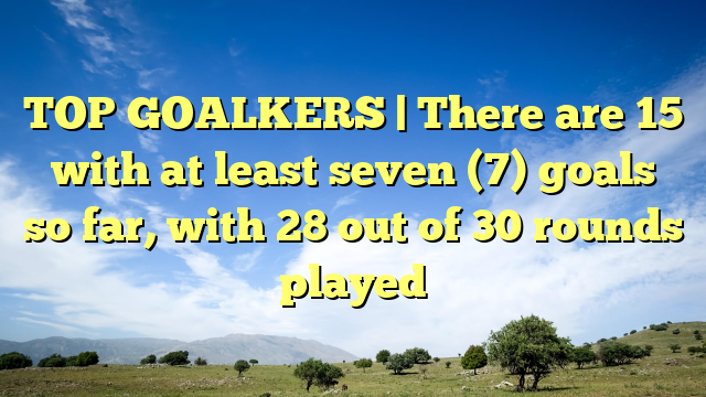 TOP GOALKERS | There are 15 with at least seven (7) goals so far, with 28 out of 30 rounds played