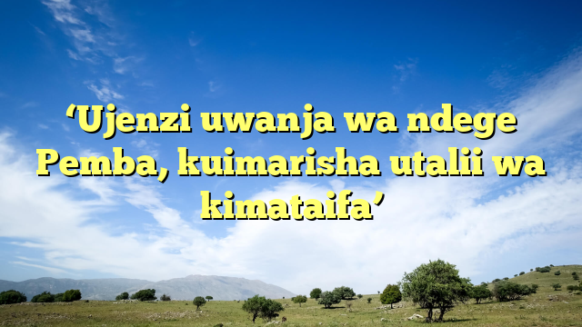 ‘Ujenzi uwanja wa ndege Pemba, kuimarisha utalii wa kimataifa’