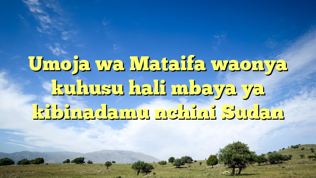 Umoja wa Mataifa waonya kuhusu hali mbaya ya kibinadamu nchini Sudan