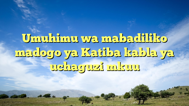 Umuhimu wa mabadiliko madogo ya Katiba kabla ya uchaguzi mkuu