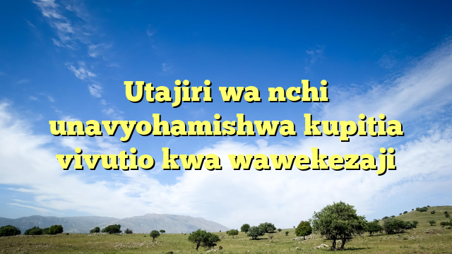 Utajiri wa nchi unavyohamishwa kupitia vivutio kwa wawekezaji