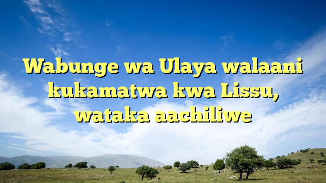 Wabunge wa Ulaya walaani kukamatwa kwa Lissu, wataka aachiliwe