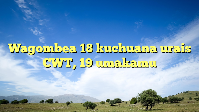 Wagombea 18 kuchuana urais CWT, 19 umakamu