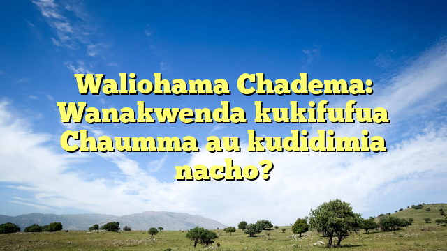 Waliohama Chadema: Wanakwenda kukifufua Chaumma au kudidimia nacho?