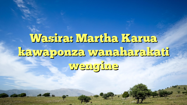 Wasira: Martha Karua kawaponza wanaharakati wengine