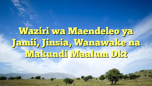 Waziri wa Maendeleo ya Jamii, Jinsia, Wanawake na Makundi Maalum Dkt