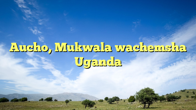 Aucho, Mukwala wachemsha Uganda