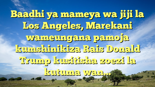 Baadhi ya mameya wa jiji la Los Angeles, Marekani wameungana pamoja kumshinikiza Rais Donald Trump kusitisha zoezi la kutuma wan…