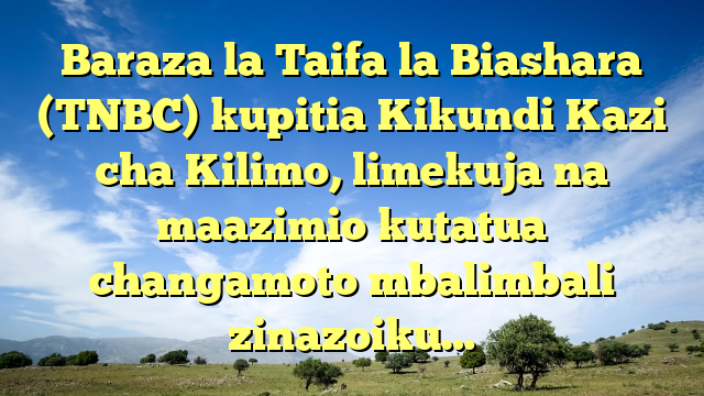 Baraza la Taifa la Biashara (TNBC) kupitia Kikundi Kazi cha Kilimo, limekuja na maazimio kutatua changamoto mbalimbali zinazoiku…