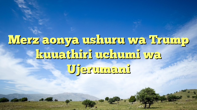 Merz aonya ushuru wa Trump kuuathiri uchumi wa Ujerumani