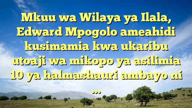 Mkuu wa Wilaya ya Ilala, Edward Mpogolo ameahidi kusimamia kwa ukaribu utoaji wa mikopo ya asilimia 10 ya halmashauri ambayo ni …