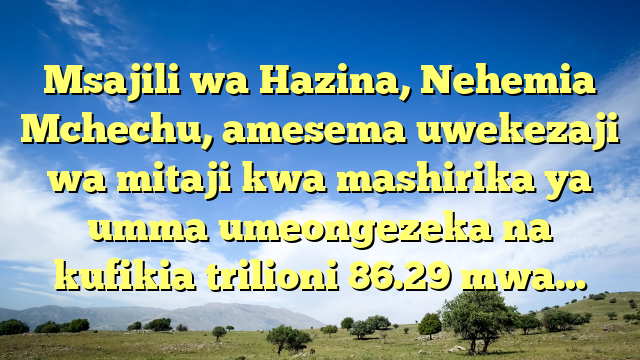 Msajili wa Hazina, Nehemia Mchechu, amesema uwekezaji wa mitaji kwa mashirika ya umma umeongezeka na kufikia trilioni 86.29 mwa…