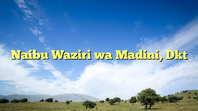 Naibu Waziri wa Madini, Dkt