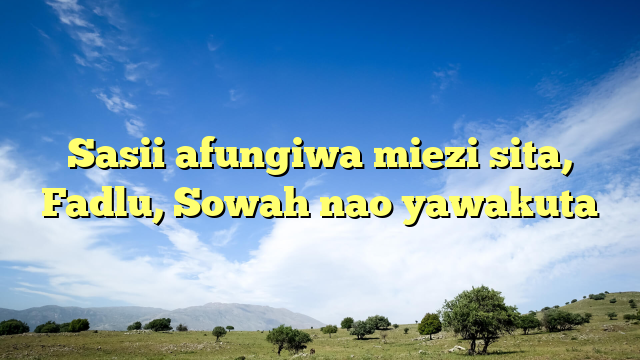 Sasii afungiwa miezi sita, Fadlu, Sowah nao yawakuta