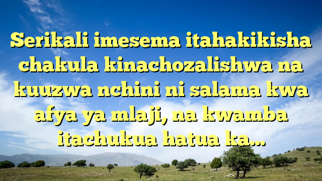 Serikali imesema itahakikisha chakula kinachozalishwa na kuuzwa nchini ni salama kwa afya ya mlaji, na kwamba itachukua hatua ka…